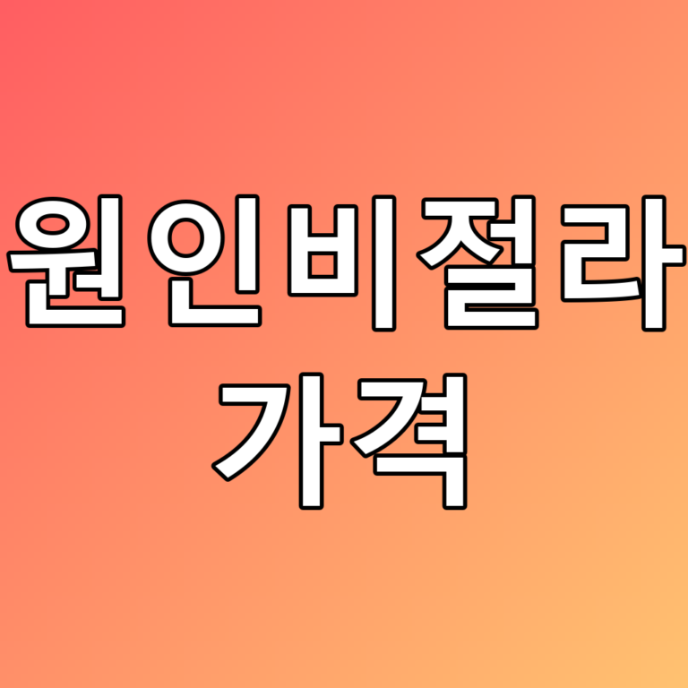 수원인비절라인 가격: 2026년 최신 정보와 꿀팁