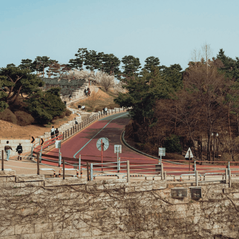수원임플란트 수명: 꿀팁과 관리법으로 길게 유지하기